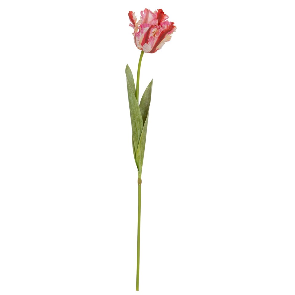 image 1 of Hill Interiors Parrot Tulip Artificial Flower | Green | Green/Pink | One Size | 1