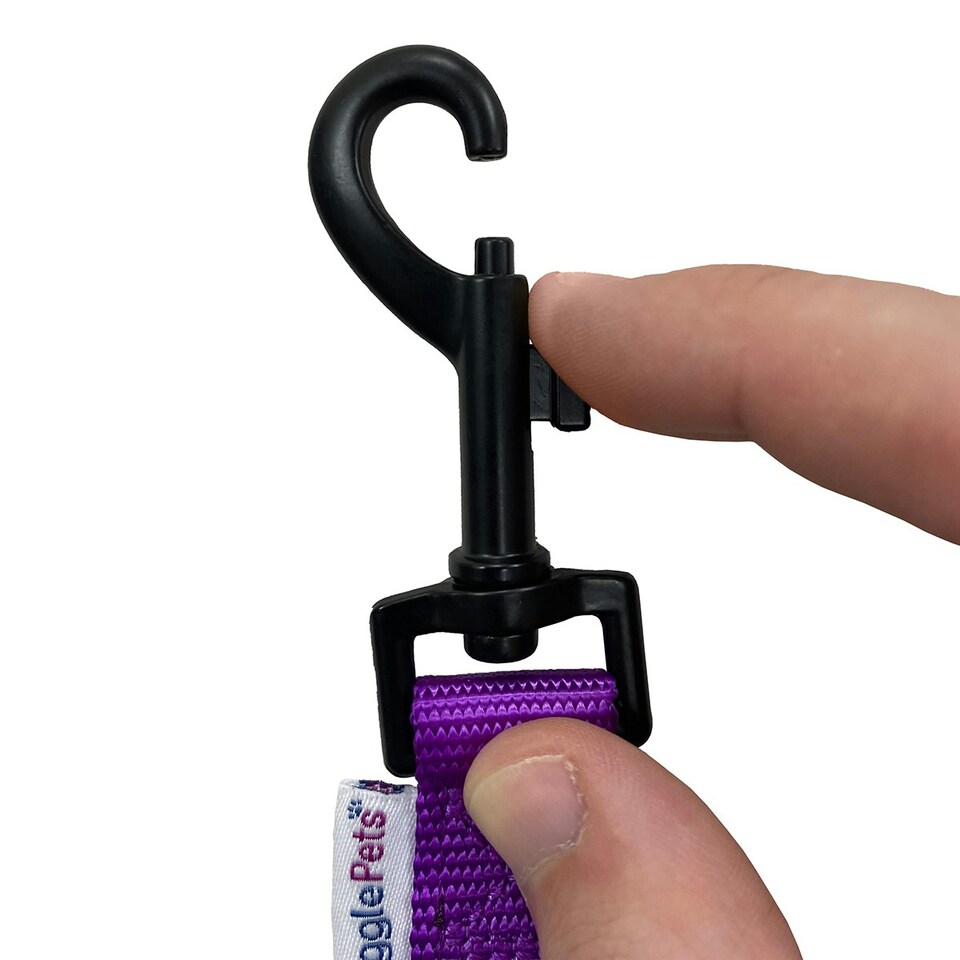 image 1 of HugglePets Padded Nylon Weatherproof Dog Lead | Multi | 100 x 1.9cm