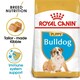 image 1 of Royal Canin Bulldog Puppy Dry Dog Food - 3 kg | Multi | 3kg | Turkey, Rice, Vegetables | 1