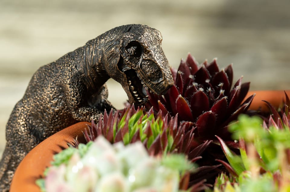 image 1 of Tyranasaurus Rex Plant Pot Hanger | Bronze