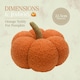 image 3 of Benross 9" Soft Pumpkin Decoration