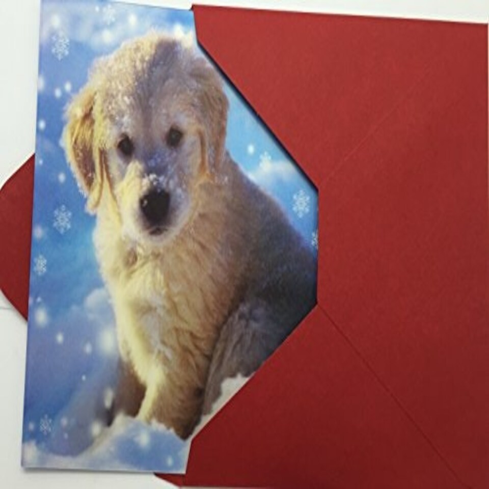 image 1 of 3D Holographic Up Close PUPPY IN SNOW Christmas Greeting Card
