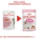 image 4 of ROYAL CANIN® Kitten Wet Food N/A | Size: 12 x 85g
Texture: Gravy