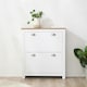 image 2 of HOMCOM 2 Drawer Shoe Cabinet Narrow Shoe Cupboard with Flip Doors