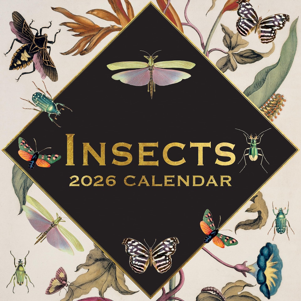 image 1 of 2026 Square Wall Calendar - Insects