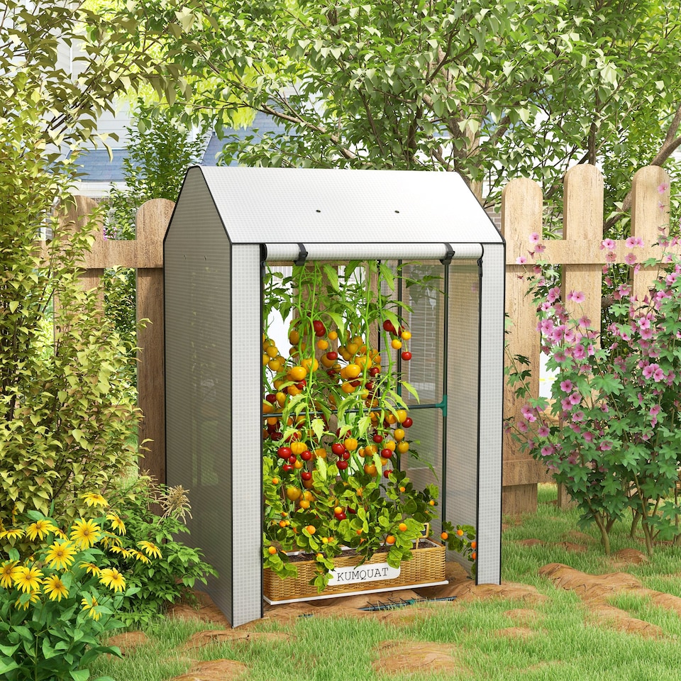 image 1 of Outsunny Mini Greenhouse with Shelves and Roll Up Door, 100x80x150cm, White