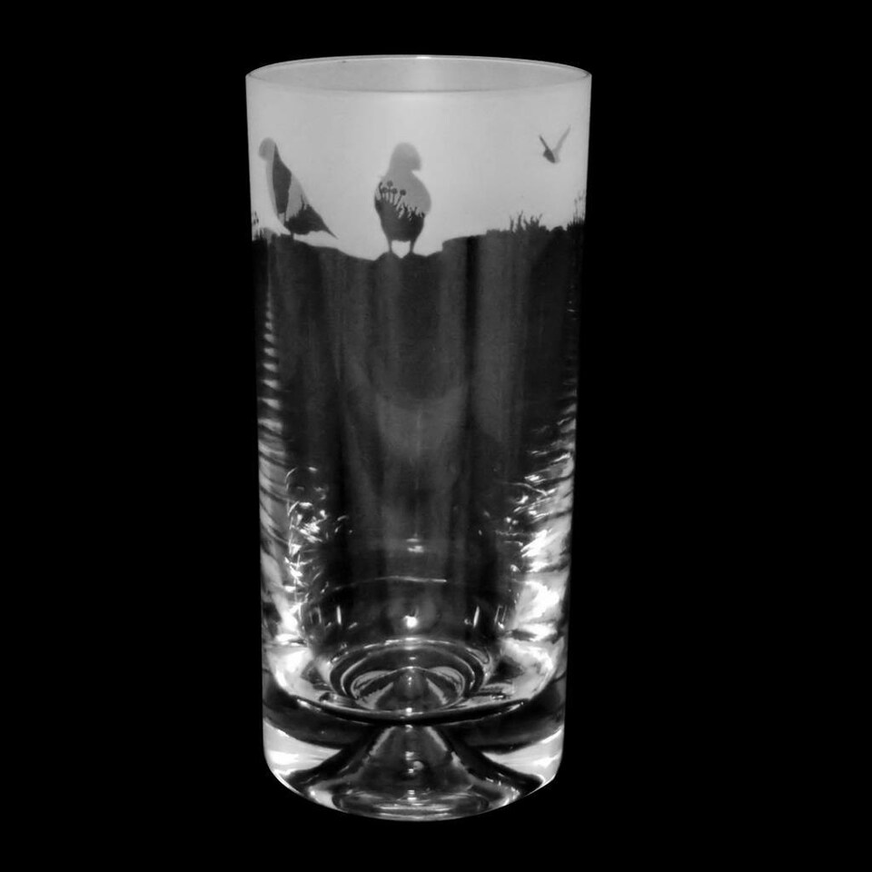 Animo Glass Highball Glass Etched Tumbler Puffin