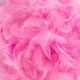 image 3 of Assorted Easter Decorative Feathers 20g