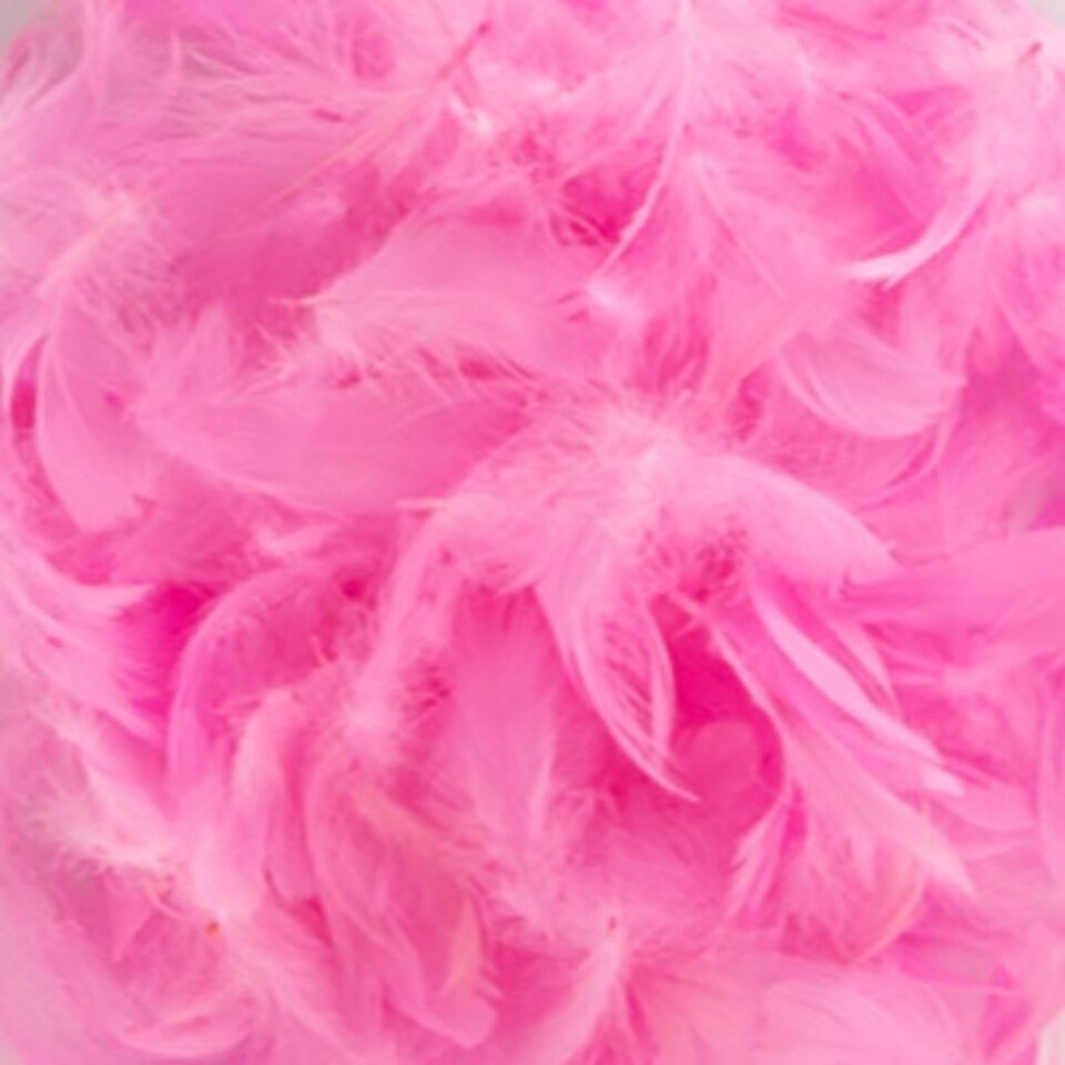 image 1 of Assorted Easter Decorative Feathers 20g
