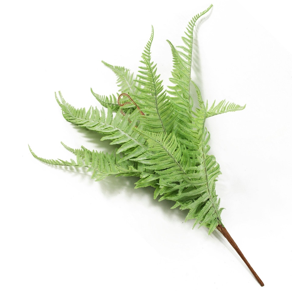 image 1 of Fern Plant Artificial 60cm Artificial Bushy Dixie Wood