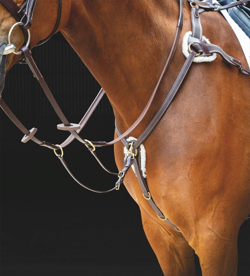image 1 of Shires Salisbury Five Point Breastplate Black | Size: Cob
Colour: Black