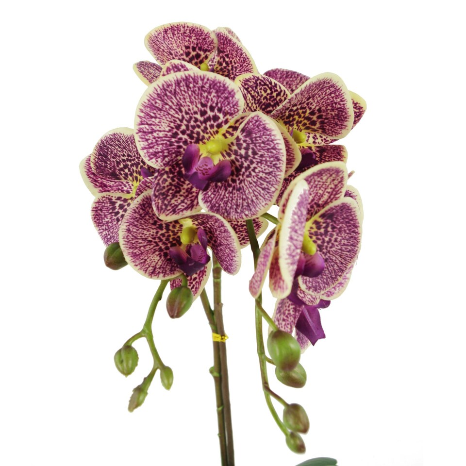 image 1 of Orchid Artificial Purple Leopard Gold Pot 50cm Phalaenopsis