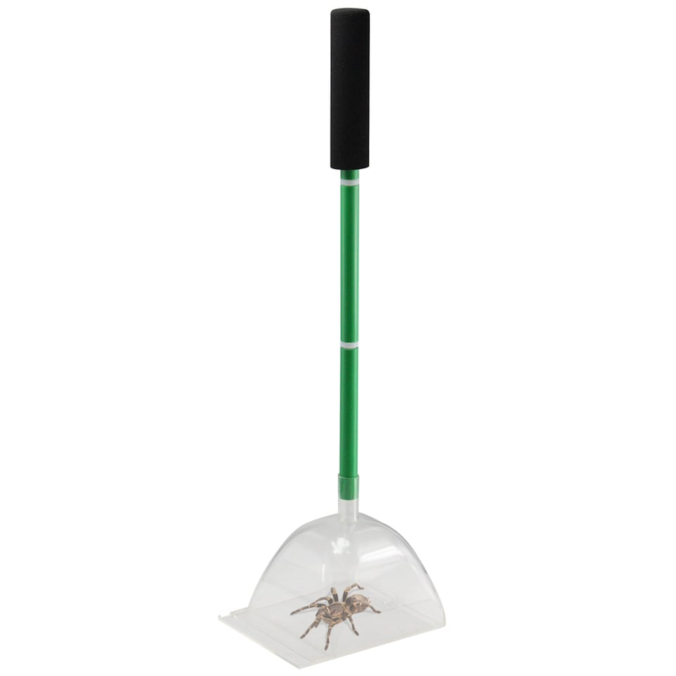 image 1 of Big Bug Katcha - Large Spider & Bug Trap - Green