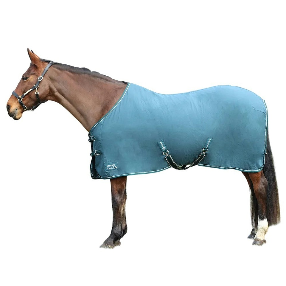 image 1 of StormX Empra Pima Standard-Neck Horse Summer Sheet - Teal - 6´ 6"