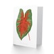 image 2 of Leaf Caladium Bicolor Spendens Art Blank Just to Say Card