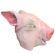 image 2 of Bristol Novelty Unisex Pig Rubber Head Mask - Pink - One Size One Size