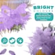 image 3 of 50cm - 60cm Large Ostrich Feathers, Showgirl Spadones - 5pcs
