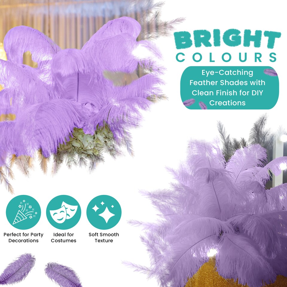 image 1 of 50cm - 60cm Large Ostrich Feathers, Showgirl Spadones - 5pcs