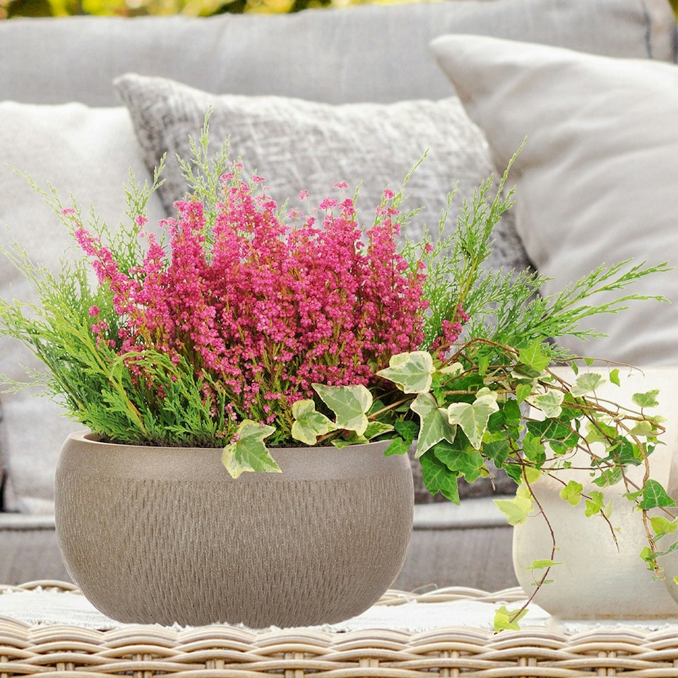 image 1 of Mesh Style Taupe Bowl Garden Planter, Outdoor Plant Pot D29 H13.5 cm, 9 ltrs Cap.