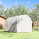 image 9 of Outsunny Large Walk-in Greenhouse Poly Tunnel Galvanised Garden Plants Grow Tent