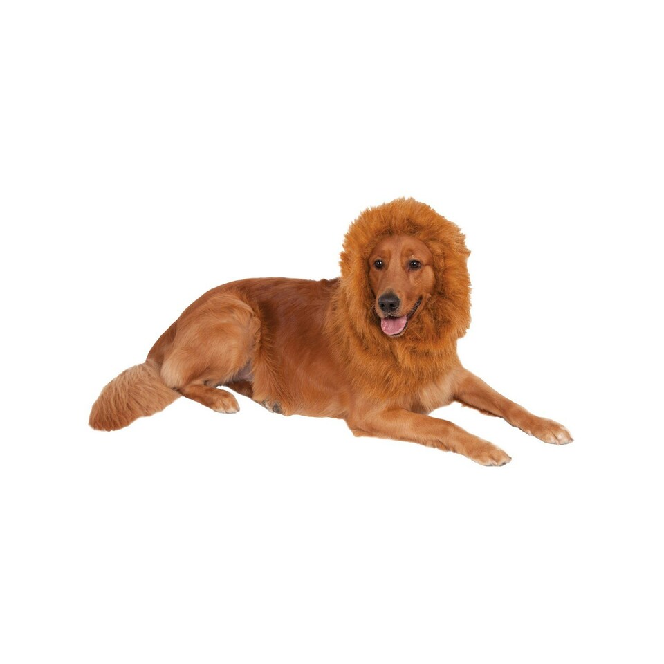 image 1 of Bristol Novelty Lion´s Mane Dog Costume - Brown - One Size
