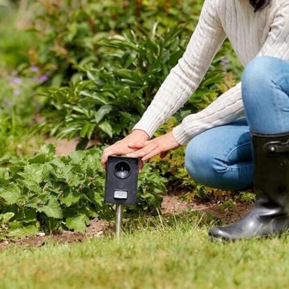 image 1 of The Big Cheese® Mega Sonic Solar Cat Repeller
