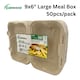 image 5 of Bagasse Sugarcane Takeaway Meal Boxes 9x6 Clamshell Food Containers TUV Home Compostable Certified, Unbleached, PFAS Free & Sturdy for Hot & Cold Food, Restaurants, BBQs Parties