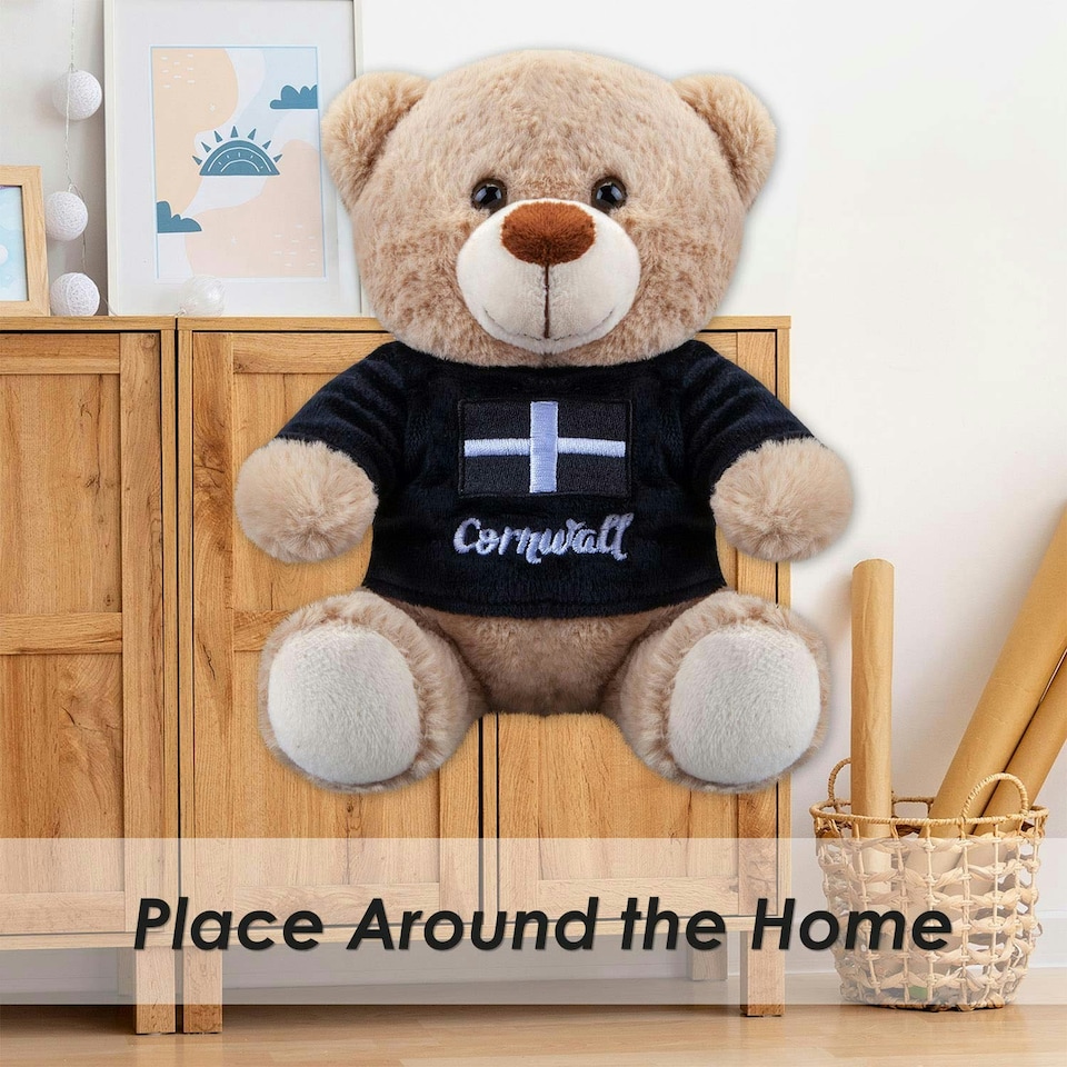 image 1 of Cornwall Bear Soft Toy Cute Plushie Huggable Cuddly Stuffed Toy Gift 20cm Black