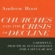 Churches And The Crisis Of Decline  A Hopeful Practical Ecclesiology For A Secular Age