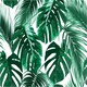 image 2 of Palm Leaf (Canvas print) 40cm x 30cm