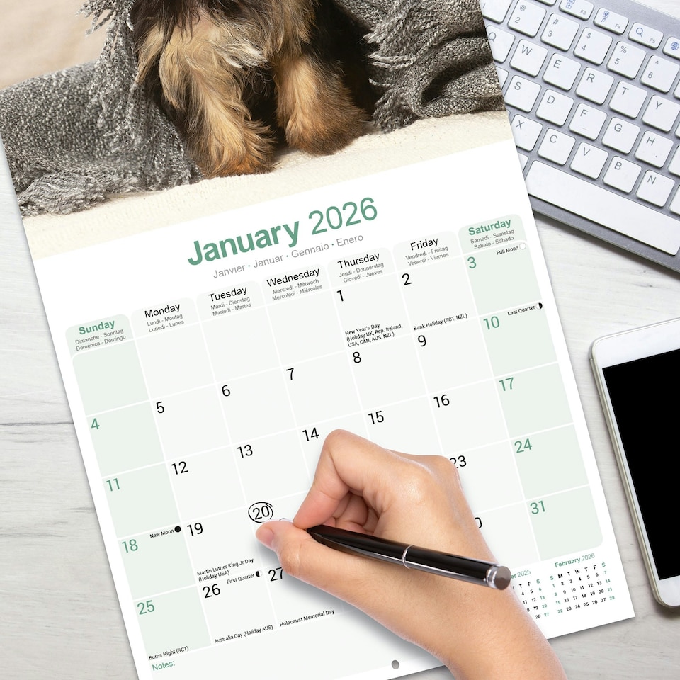 image 1 of Yorkshire Terrier Puppies 2026 Calendar | Square Wall Calendar | Dog Breed Gift | Plastic Free Packaging | by Avonside Publishing