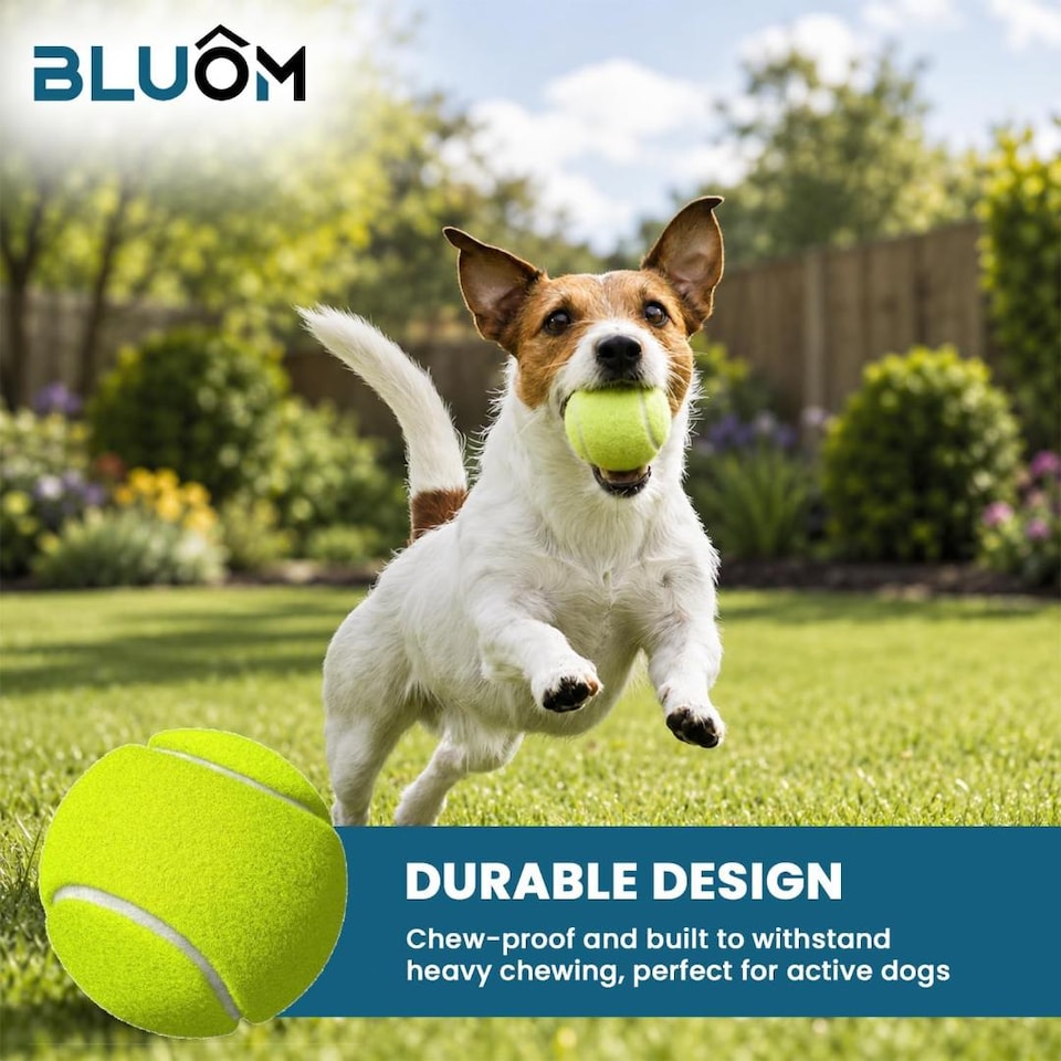 image 1 of BLUOM Pack Of 12 Tennis Balls Pack with Mesh Carry Bag for All Courts Pressureless