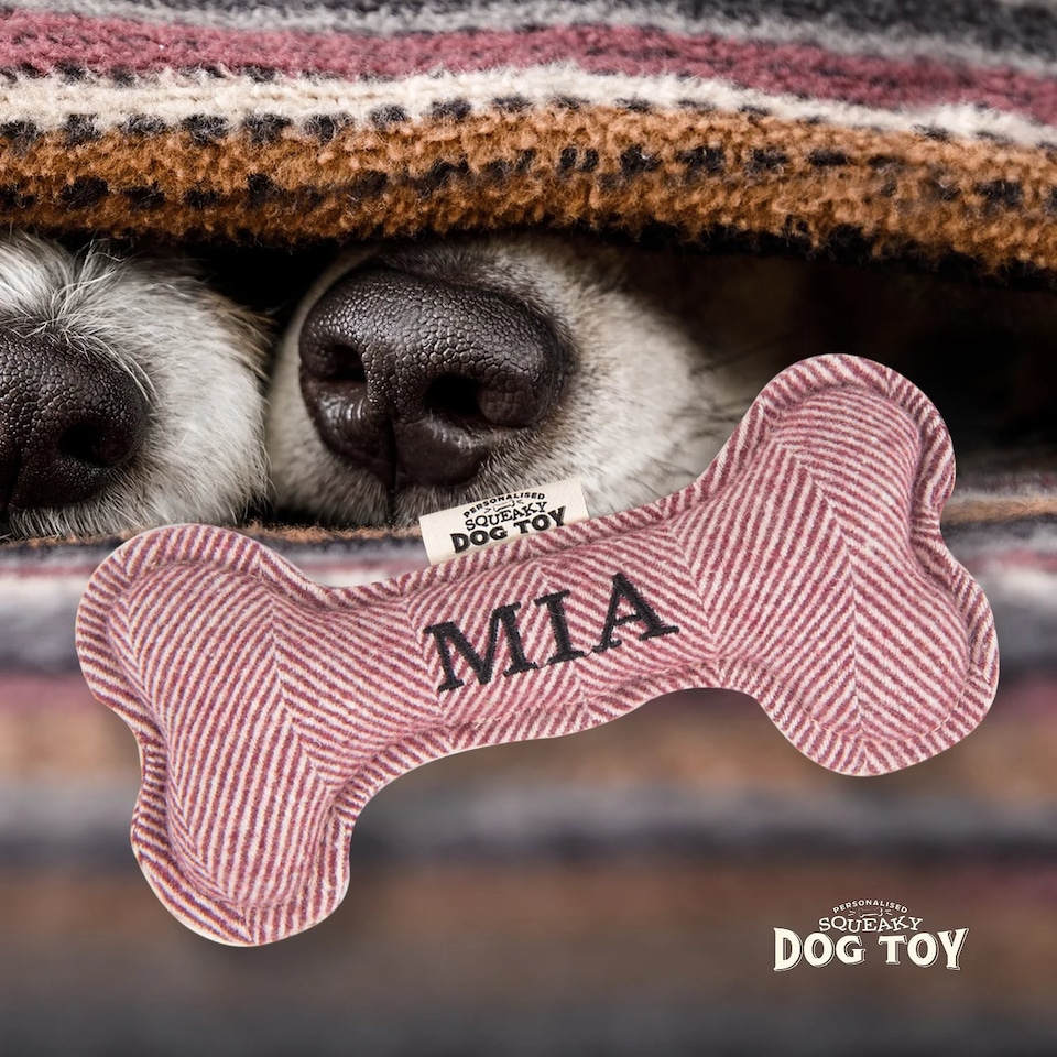 image 1 of History & Heraldry Pre-Personalised Squeaky Bone Dog Toy - Mia