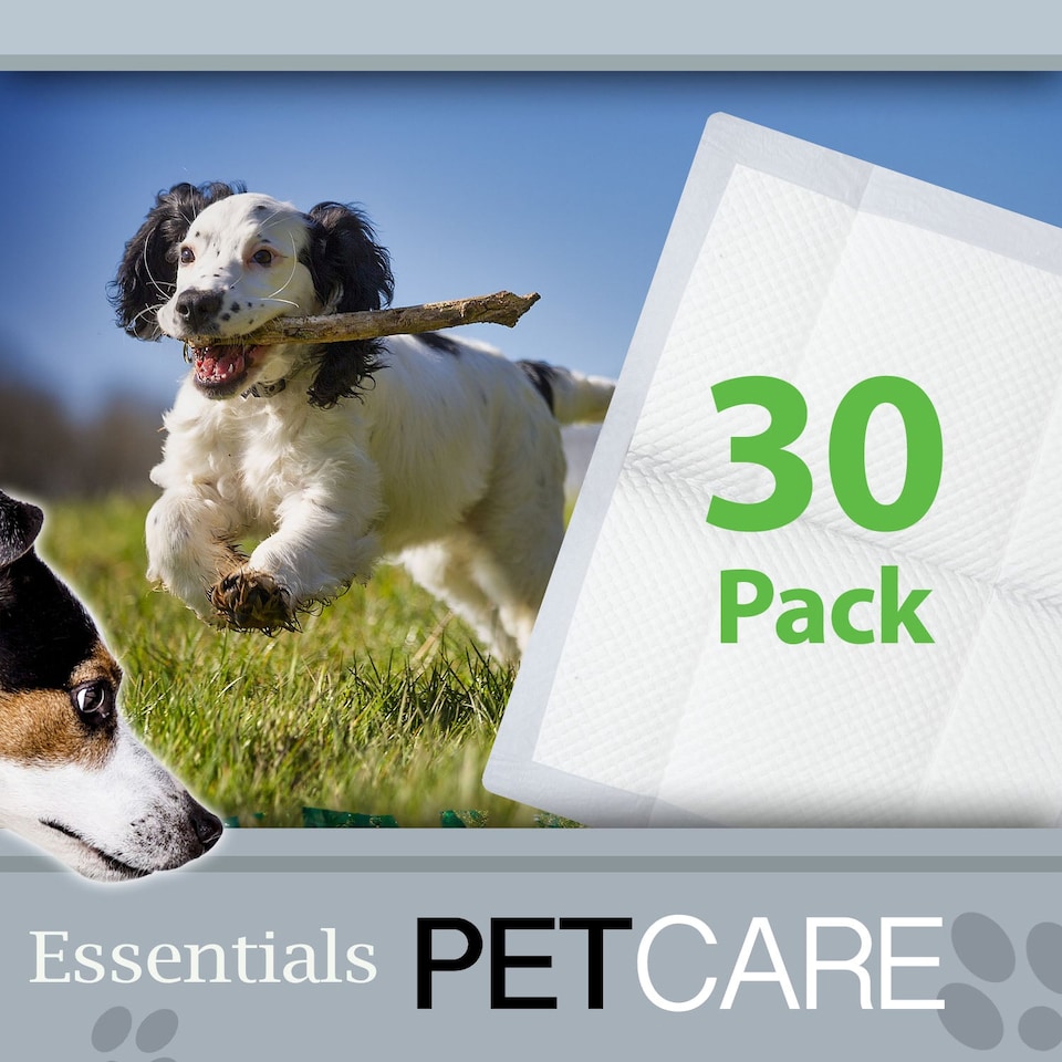image 1 of VFM e-Store Puppy Training Pads, Pack of 30, 40 x 50 cm