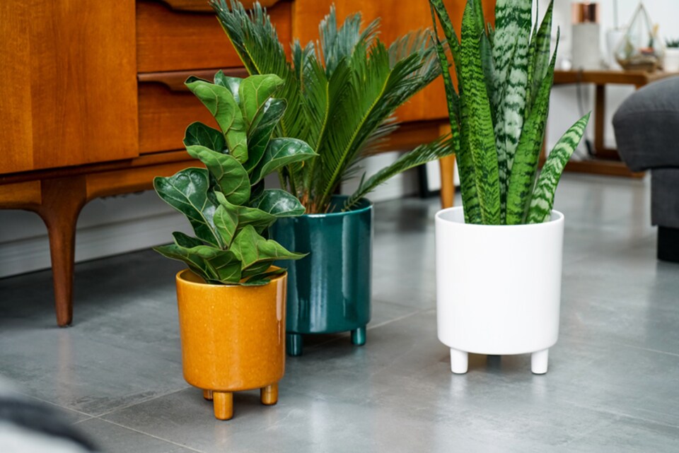 image 1 of Pisa Planter - Ceramic - L20 x W20 x H24 cm - White | White