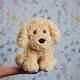 image 5 of Warmies Plush Cockapoo Microwavable, Weighted with French Lavender Scent, Cuddly Soft Plush , Suitable for Adults and Children