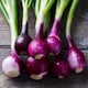 image 2 of Thompson & Morgan Purplette Onion Seeds Small Purple Salad Spring Onion Easy Grow Veg Garden Container Friendly