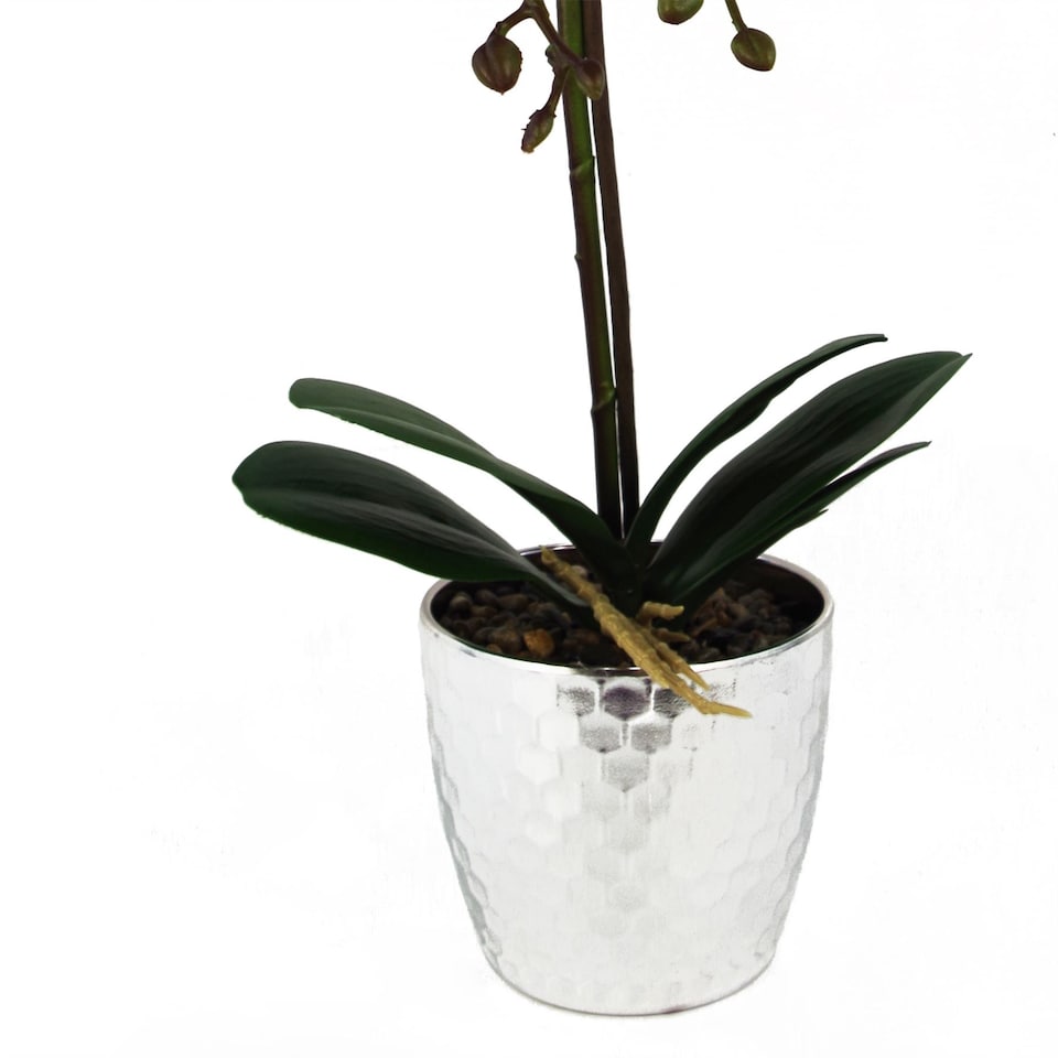image 1 of Orchid Artificial Dark Pink Silver 50cm Phalaenopsis