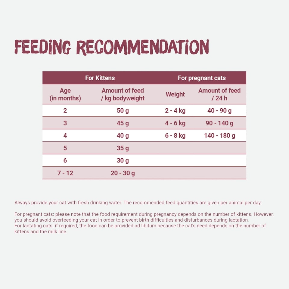 image 1 of Josera Kitten complete food | Growing kittens | Pregnant & nursing mothers | Optimal development | Omega 3 | Anti-Hairball | Gluten free | Skin & Coat | 8x0.4kg