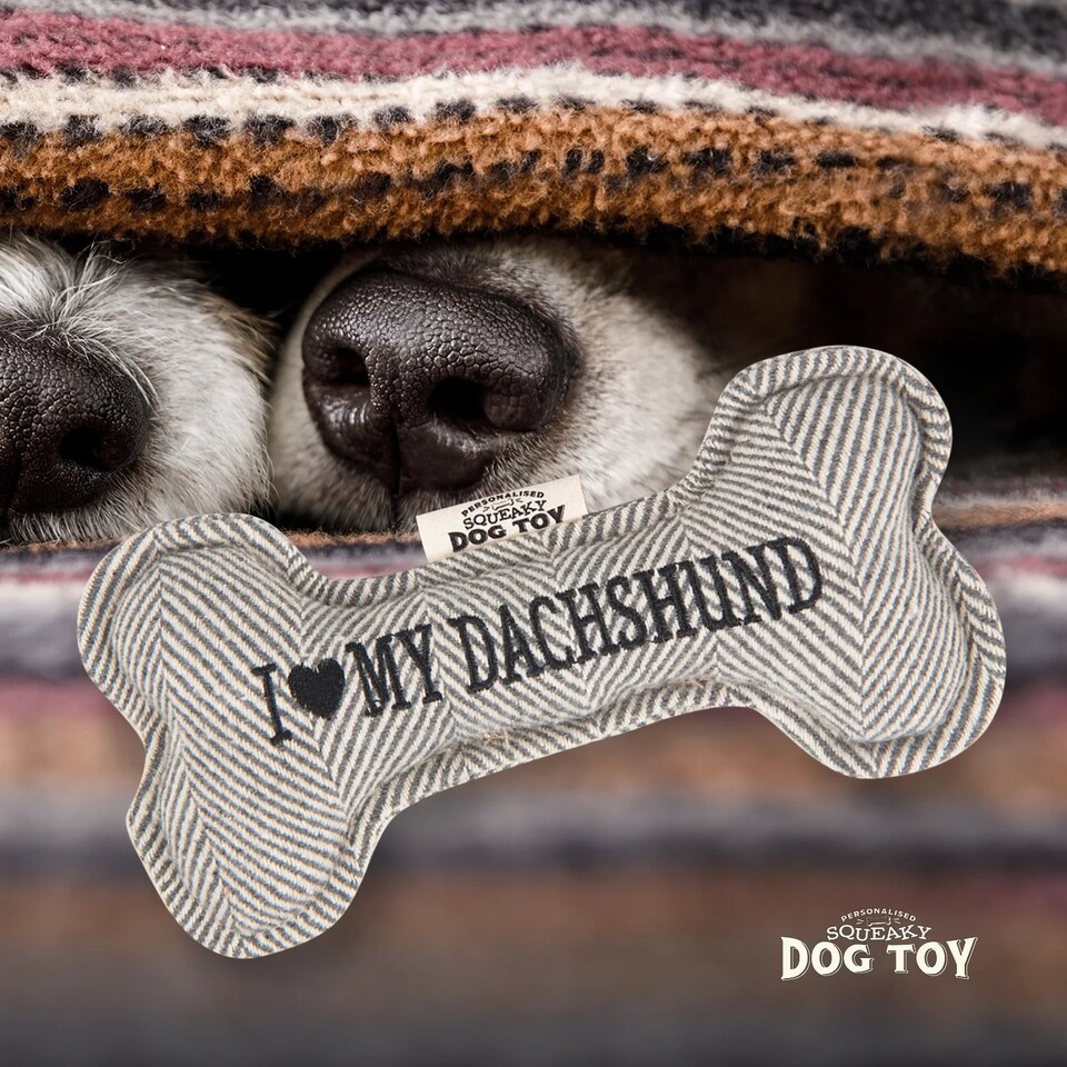 image 1 of History & Heraldry Pre-Personalised Squeaky Bone Dog Toy - Dachsund