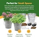 image 5 of Pronto Seed Grow Your Own Herb Kit with Galvanised Buckets - Herb Bucket Duo | Multi