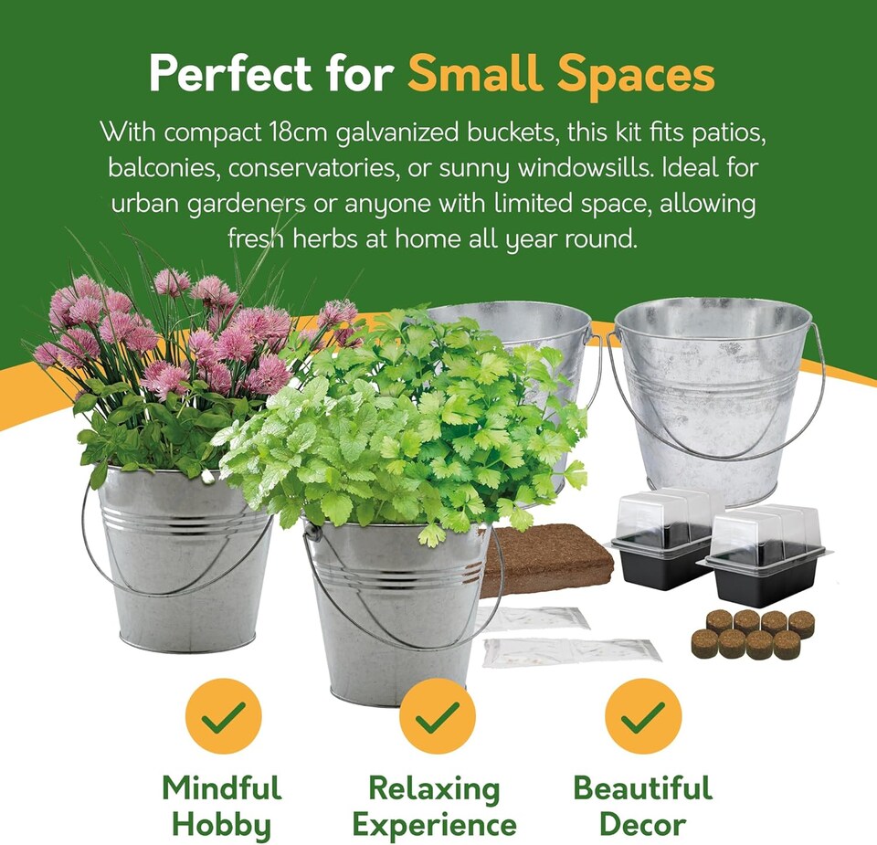 image 1 of Pronto Seed Grow Your Own Herb Kit with Galvanised Buckets - Herb Bucket Duo | Multi