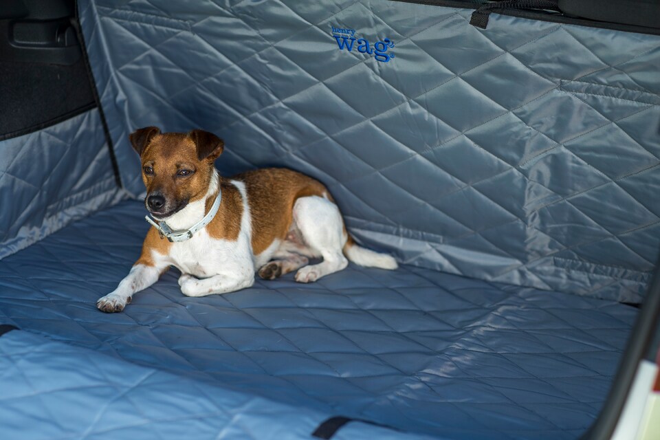image 1 of Henry Wag Boot And Bumper Protector, Keeps Your Car Boot Clean And Protects The Interior, Size Small, Hatchback | Grey | Grey | Small/Hatchback | 1