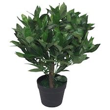 50cm Dwarf Artificial Bay Tree Laurel Topiary Bush | Green | One Size