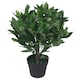image 1 of 50cm Dwarf Artificial Bay Tree Laurel Topiary Bush | Green | One Size