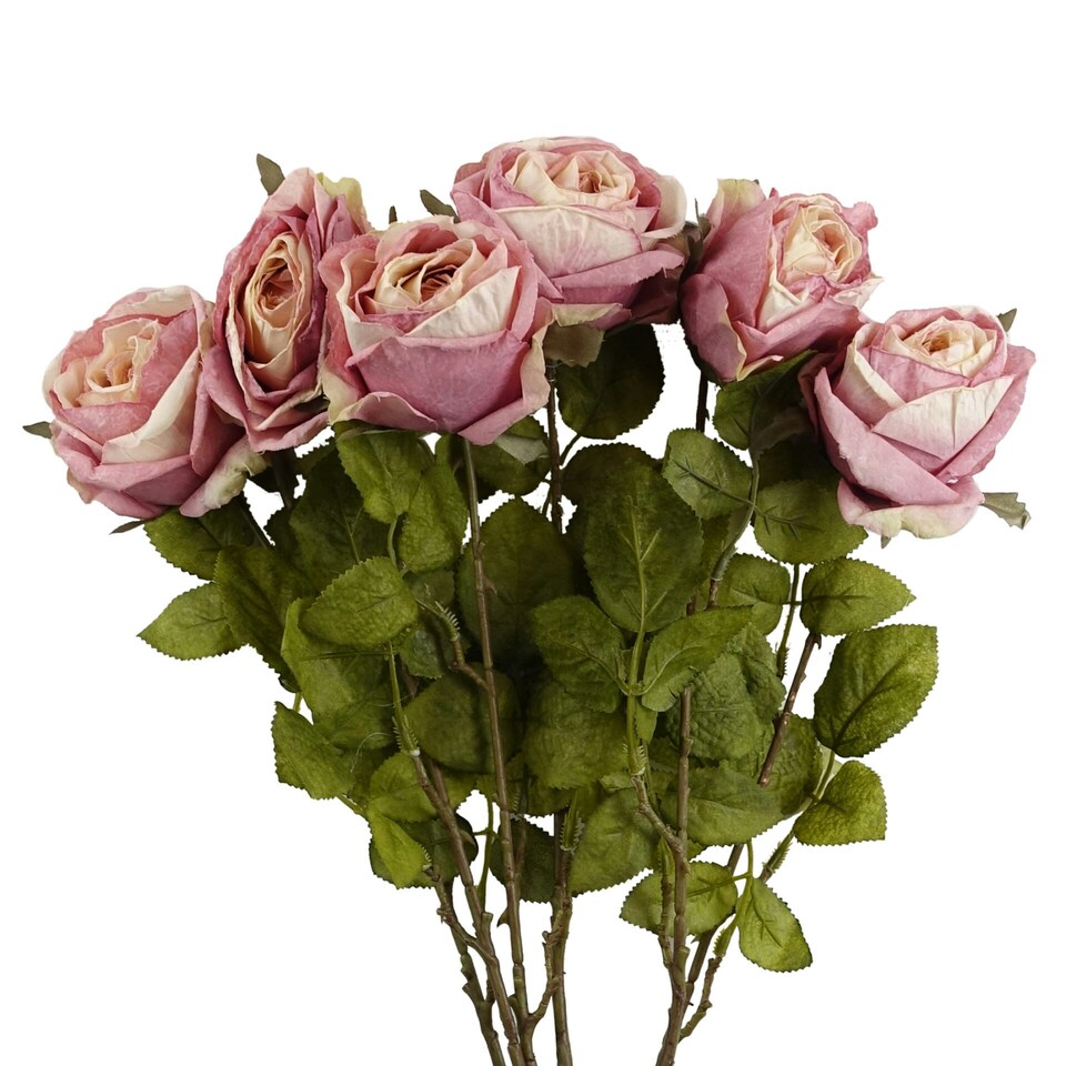 image 1 of Pack of 6 x 70cm Artificial Light Pink Rose