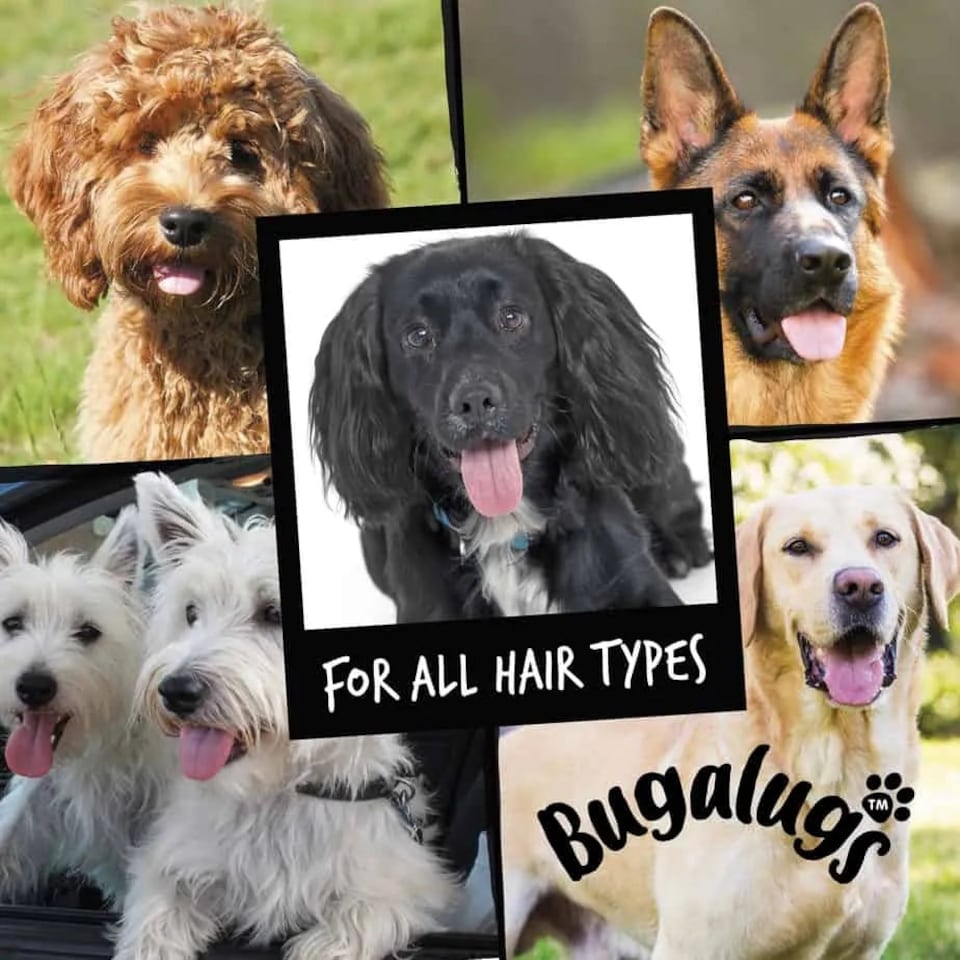 image 1 of Bugalugs 2 In 1 Papaya & Coconut Shampoo N/A | 250 ml