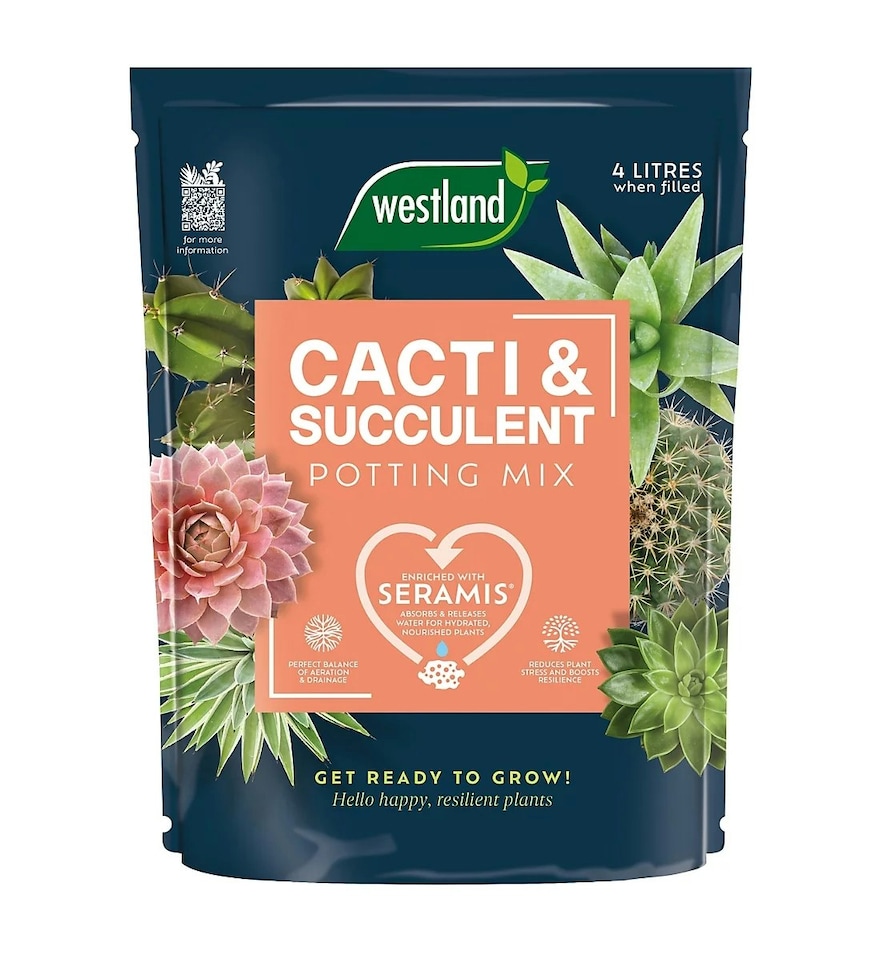 Westland Peat Free Cacti & Succulent Potting Mix - 4L
