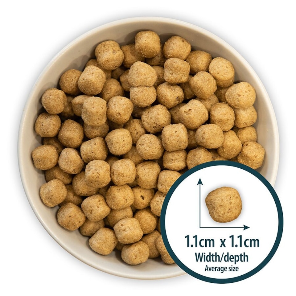 image 1 of Burns Original Chicken & Brown Rice Hypoallergenic Adult & Senior Dry Dog Food - 2 kg