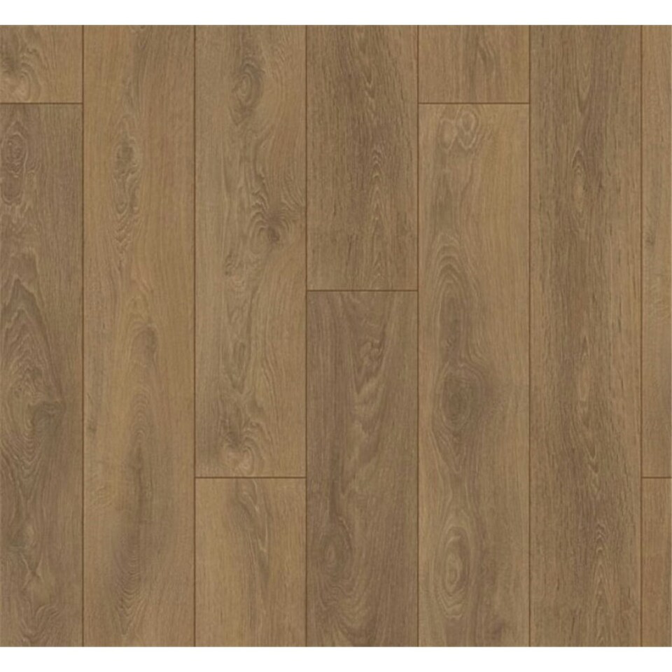 image 1 of PACK OF 20 (Total 20 Units) - Medium Oak 8mm Thick Laminate Flooring (44.4m2 Coverage)